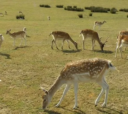 De La Normandie Отель типа 